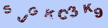 Image: you will need to recognize the text in it.